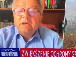 Według posła Platformy „push-upy są nielegalne”. Konsternacja w studio. Internet turla się ze śmiechu [WIDEO]