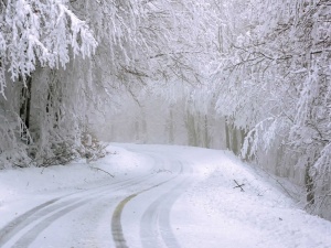 Mróz i nawet 20 cm śniegu. Nad Polskę nadciąga prawdziwa zima 