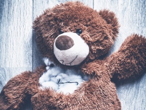 Znany muzyk zatrzymany. Postawiono mu zarzut pedofilii