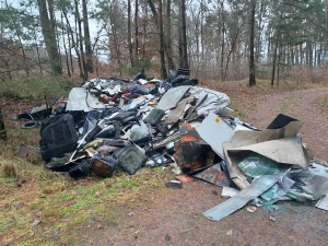 Leśnicy opublikowali szokujące zdjęcie… a dzień później: „Uwaga! Nagły zwrot akcji”