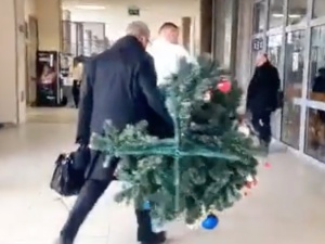 Poseł Konfederacji… „porwał” choinkę z gmachu sądu. Opublikowano nagranie