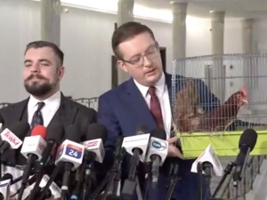Tego jeszcze nie było! Posłowie Konfederacji przynieśli do Sejmu… kurę