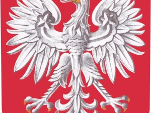 "My Naród Polski" - "S" jako punkt wyjścia do debaty o nowej Konstytucji proponuje swój projekt z 1994 r.