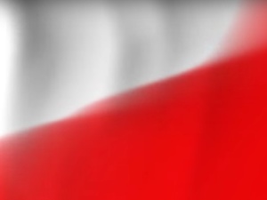[Dzień Polonii i Polaków za Granicą] Biniecki, Murawska: Wkład Polonii w odzyskanie niepodległości