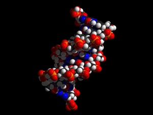 Sejmowe komisje za wystąpieniem Polski z Centrum Inżynierii Genetycznej i Biotechnologii