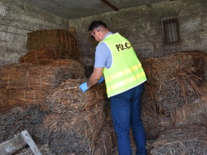 Policja zabezpieczyła dwie tony tytoniu bez akcyzy. Straty - ponad 2 miliony złotych