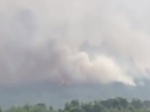 Co najmniej 50 osób nie żyje. 200 osób zostało rannych. Bilans ofiar pożarów lasów w Grecji
