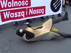 [Wideo] A jak 11.11 celebrowała antifa? "Święto niepodległości to święto białych, katolickich mężczyzn"