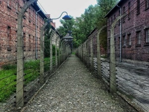 Internauci wysyłają red.Gadowskiemu świadectwa lekceważenia Polaków przez Muzeum Auchwitz