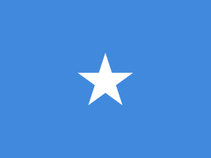 Somalia: Wybuch samochodu-pułapki. Nie żyją dwie osoby
