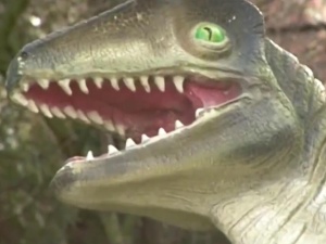 [video] Mieszkańcom Otmuchowa ulżyło. Sprawca ataku na dinozaura oddał się z ręce władz
