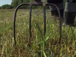 Podlascy działacze PSL dla Tygodnika Podlaskiego: [Kosiniak] zniszczył partię. Jak ja do kościoła pójdę?