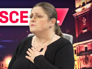 Pawłowicz odpowiada Schetynie: "Afery" PiS-u to sprzątanie po PO