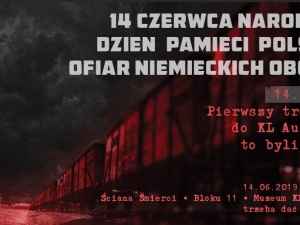 Joanna Płotnicka: APEL. 14 czerwca widzimy się w Auschwitz