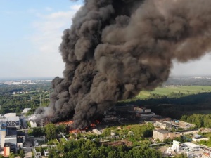 Schetyna: "W Polsce robi się czarno od palonych niemieckich śmieci". Wybranowski odpowiada