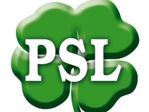 Rzecznik PSL: Zagłosowałbym za związkami partnerskimi...