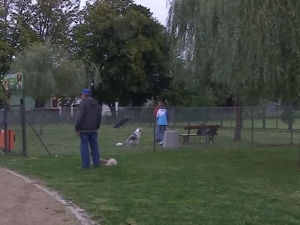 Park z wybiegiem dla psów nazwany imieniem Sprawiedliwych Wśród Narodów Świata. Matecki: "To niegodne"