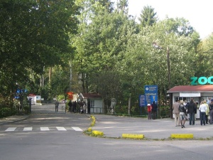 Gdańskie ZOO zapewnia, że... orientacja seksualna jego podopiecznych jest ich prywatną sprawą