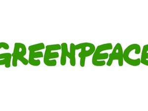 Presja ma sens. Greenpeace w końcu odniosło się do sprawy katastrofy ekologicznej w Warszawie, ale...
