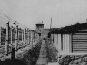 Dr Adam Cyra: Martyrologia Polaków w KL Auschwitz