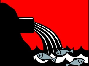 Główny Inspektorat Ochrony Środowiska: Padł smutny rekord. Do Wisły zrzucono już...