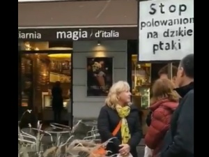 [video] Czarna komedia. W Wiśle katastrofa ekologiczna a ekolodzy w Warszawie o polowaniu na dzikie ptaki