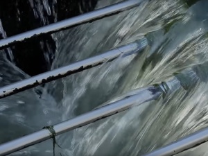 Główny Inspektorat Ochrony Środ.: Poważny kryzys. Kilkanaście ton azotu na dobę dostaje się Wisły. Rtęć