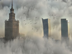 Śledczy Anity Gargas: "Kolejna afera w warszawskim ratuszu. Ponad 39 mln...CBA zawiadomiło prokuraturę"