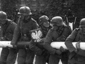 "Były nie tylko polskie ofiary, ale i polscy sprawcy". Niemieccy historycy o pomniku polskich ofiar
