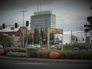 Marek Lewandowski: Rondo Ofiar Katynia i Halloween? To co najmniej niestosowne, a nawet niedopuszczalne