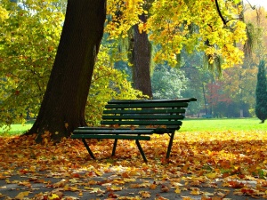 Jutro 3 listopada. Niedziela wolna od handlu