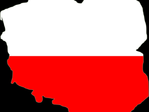 [Felieton "TS"] Waldemar Biniecki: Co możemy zrobić razem dla Polski?