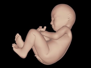 Dziennikarka GW wtargnęła na kurs pro-life w Toruniu. Próbowała zastraszać i prowokować uczestników?