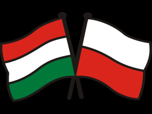 Wymowne. Wzrost produkcji przemysłowej w listopadzie 2019 r. Na czele Polska i Węgry i długo nic...