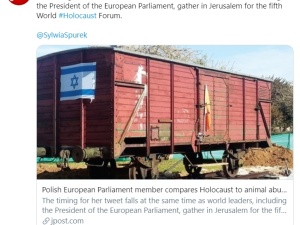 Ups. Jerusalem Post o tłicie Spurek, która opublikowała grafikę krowy w pasiaku i z żółtą Gwiazdą Dawida