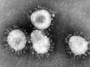 Koronawirus z Wuhan. Główny Inspektor Sanitarny podaje metody ochrony przed zagrożeniem