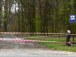 Rząd otwiera lasy, parki i tereny zielone. Minister wyjawił datę