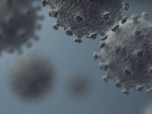 Francuski noblista: koronawirus zawiera część materiału genetycznego wirusa HIV