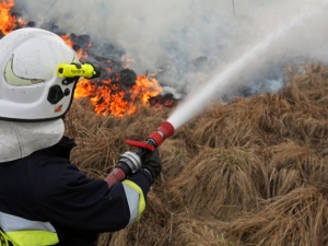 Rząd przekaże dodatkowe środki na ratowanie Biebrzańskiego Parku Narodowego