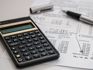 Główny ekonomista PKO: Deficyt budżetu może wynieść w tym roku między 60 a 100 mld zł