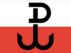 Gmyz: R. Szczepański przedstawiony przez TVN24  jako powstaniec warszawski na świat przyszedł...