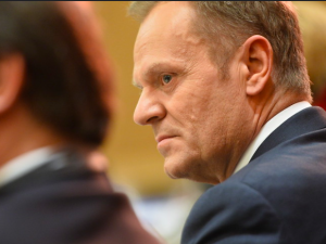 Tusk komentuje dymisję Szumowskiego. Poseł PiS odpowiada: "Najlepiej wynagradzany hejter"