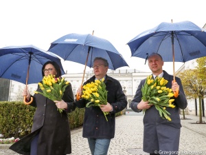 Tulipany ku czci śp. Marii Kaczyńskiej