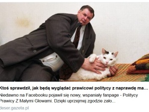 Żenada roku w Wyborczej. Gazeta.pl po fali krytyki usunęła karykatury polityków prawicy z małymi głowami