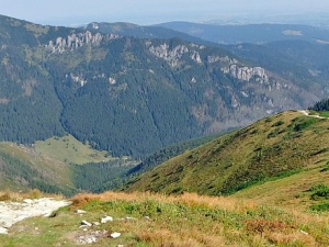 prof. Zbigniew Witkowski: Ochrona parków narodowych w Polsce jest niewystarczająca