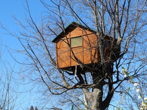 Cezary Krysztopa dla "TS": Przepis na domek na drzewie