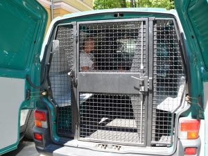 Krakowscy pseudokibice zatrzymani za przemyt imigrantów z krajów arabskich