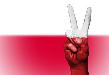 Czy Polonię amerykańską czeka renesans?
