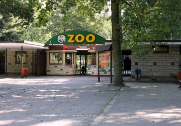 Tragiczny koniec niezwykłej historii. Smutny komunikat poznańskiego zoo 