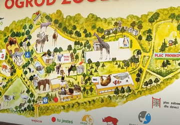 Przeszły częściową amputację. Dramat w płockim zoo